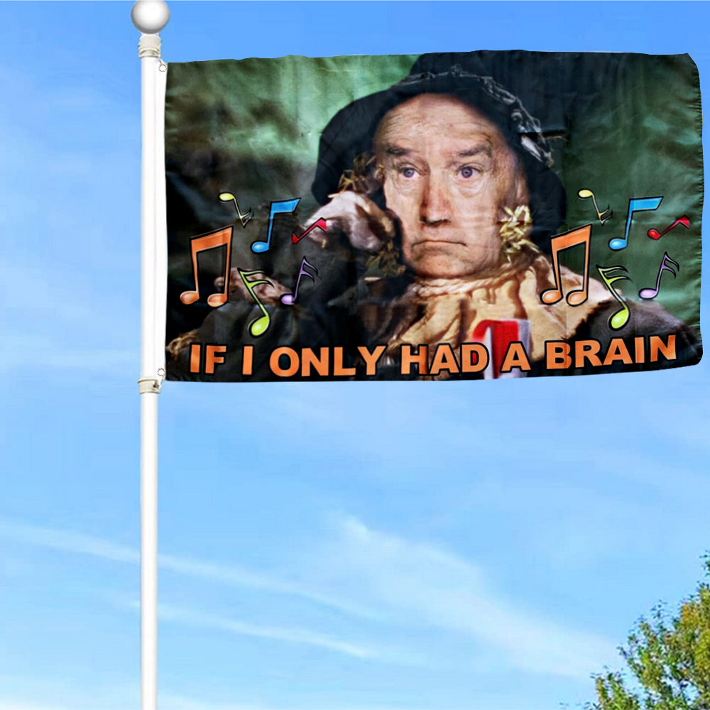 Fyon If I only Had a Brain Flag Indoor and Outdoor Banner