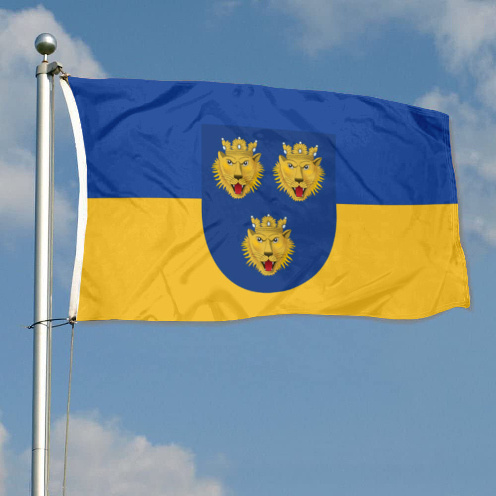Fyon Kingdom of Dalmatia Flag Indoor and outdoor banner