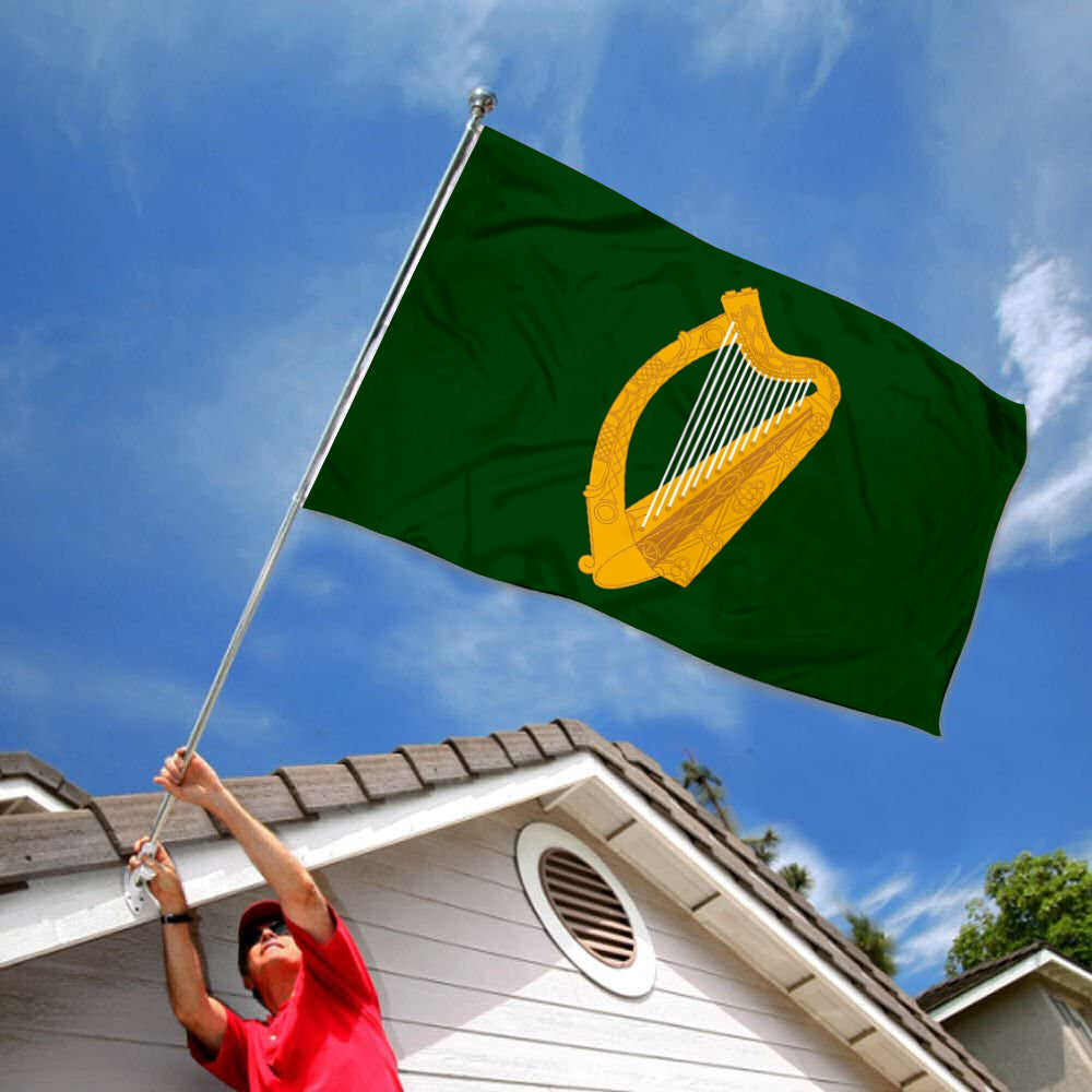 Leinster bright W Leinster Flag banner