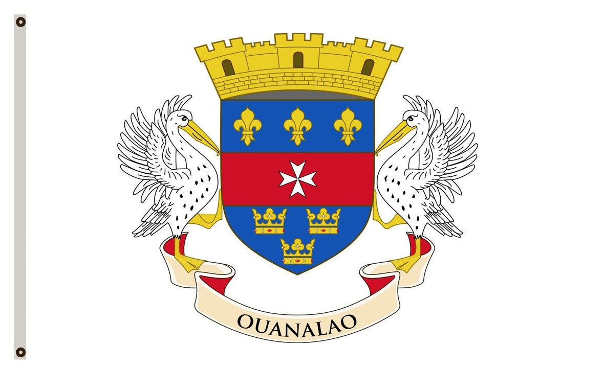 Local flag of Saint-Barthélemy, adopted 2007 banner landscape flag
