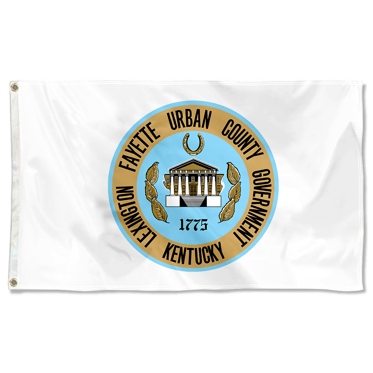 Fyon Logo of LFUCG, Kentucky flag Banner