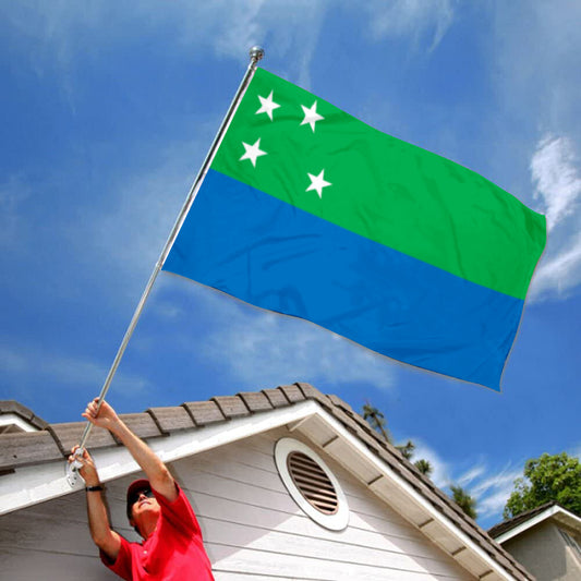 Fyon Los Lagos Region, Chile Since 2013  Flag Banner