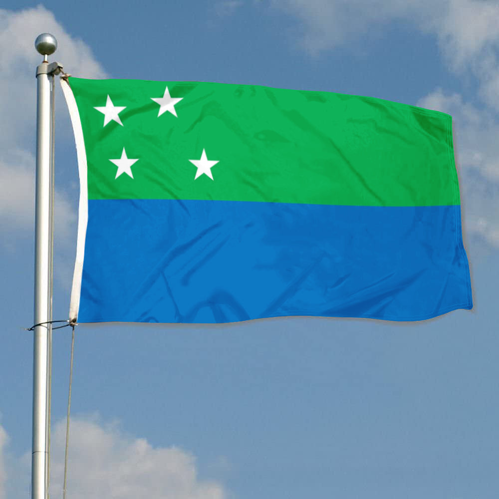 Fyon Los Lagos Region, Chile Since 2013  Flag Banner