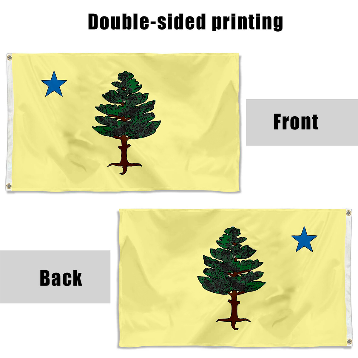 Fyon Maine 1901 to 1909 flag Indoor and outdoor banner
