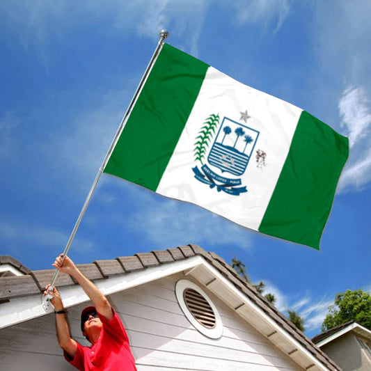 Fyon Município de Avelino Lopes Flag banner