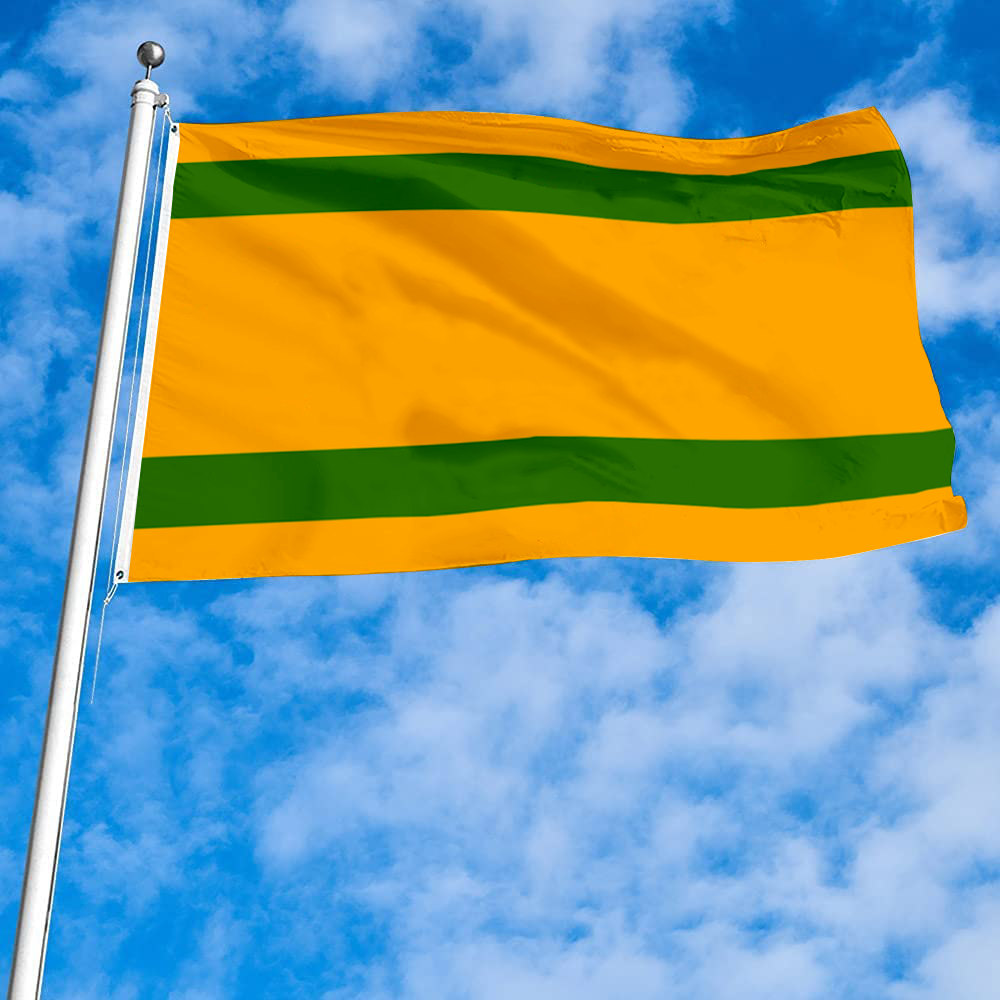Fyon Naranjito, Puerto Rico flag banner