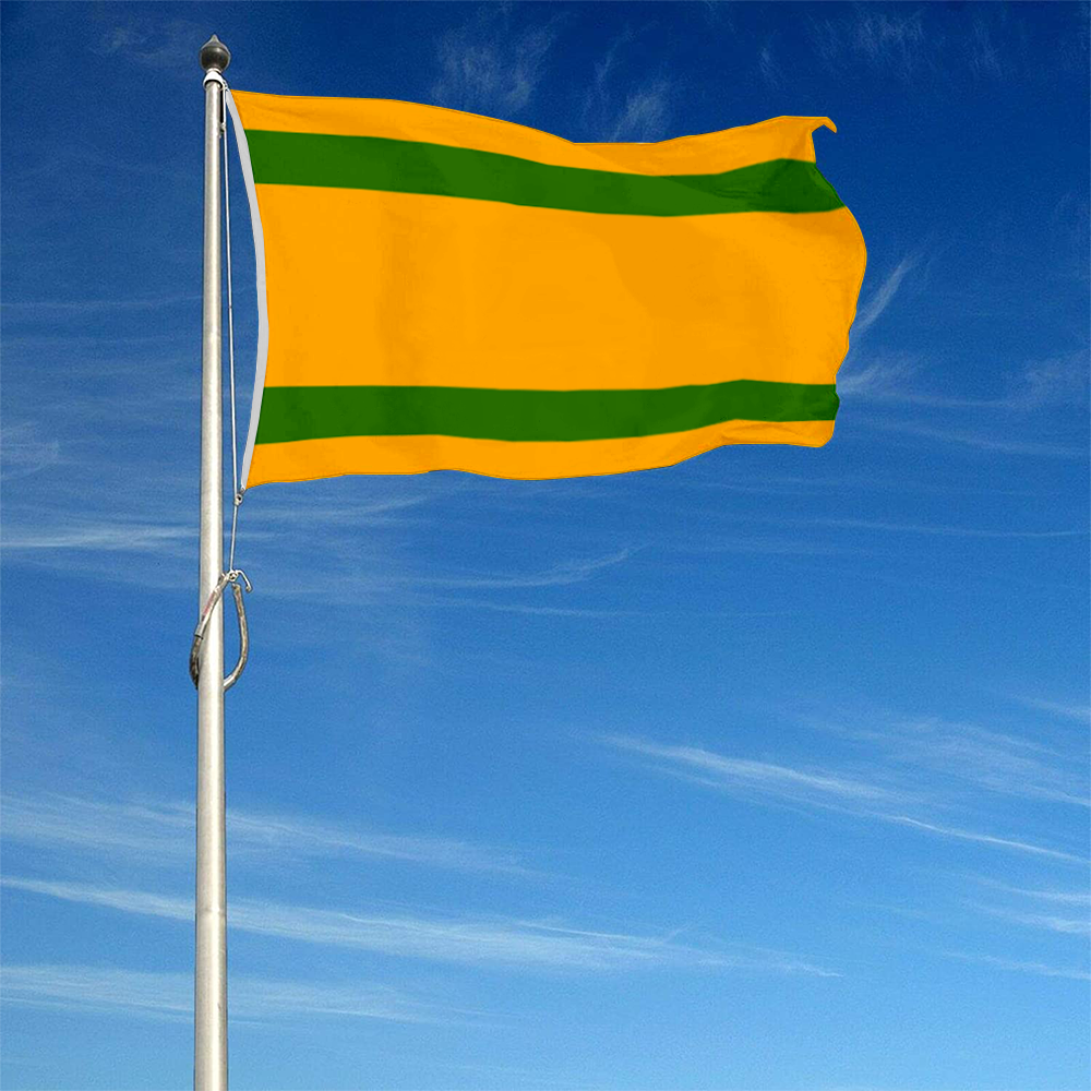 Fyon Naranjito, Puerto Rico flag banner