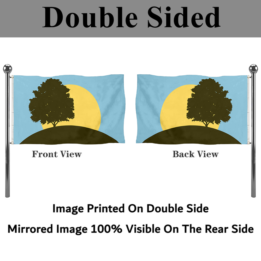 Fyon Pleasant Ridge, Michigan Flag