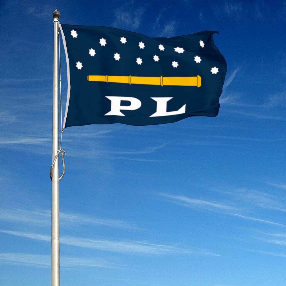 Fyon Point Lookout, New York flag Banner