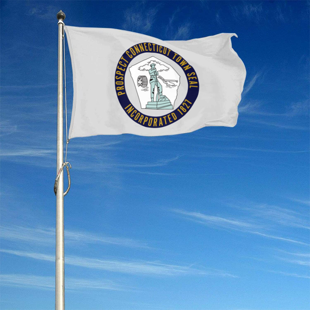 Fyon Prospect, Connecticut flag Banner