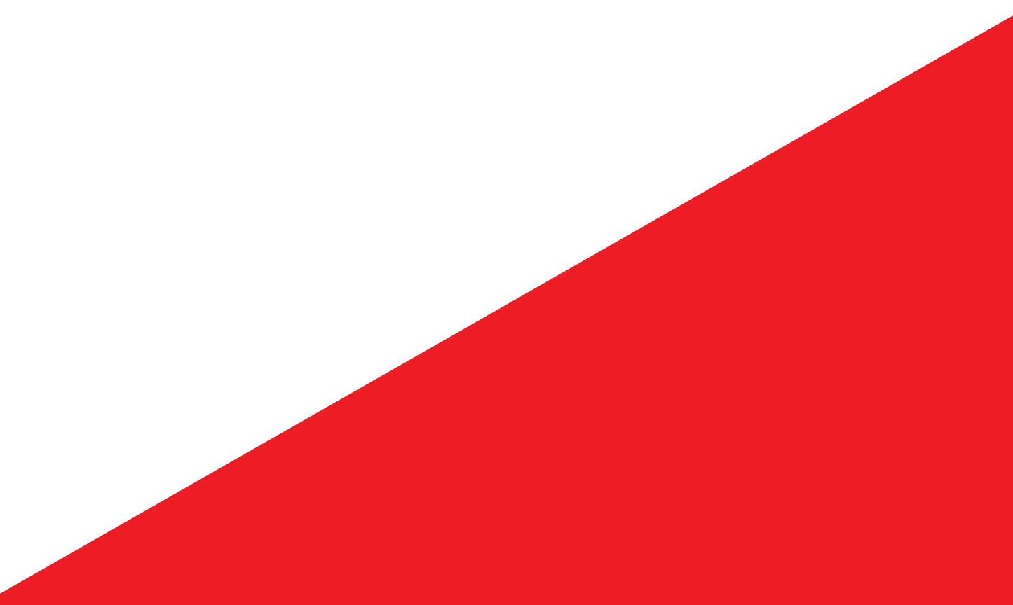 Fyon custom Flag 21050601