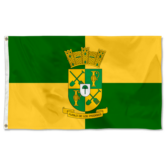 Fyon Sabana Grande, Puerto Rico Flag Banner