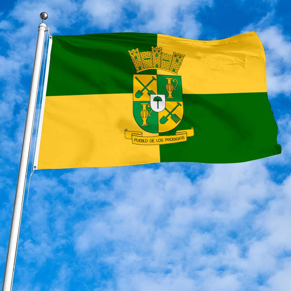 Fyon Sabana Grande, Puerto Rico flag Banner