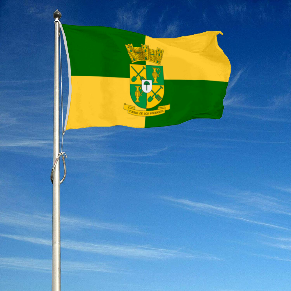 Fyon Sabana Grande, Puerto Rico flag Banner