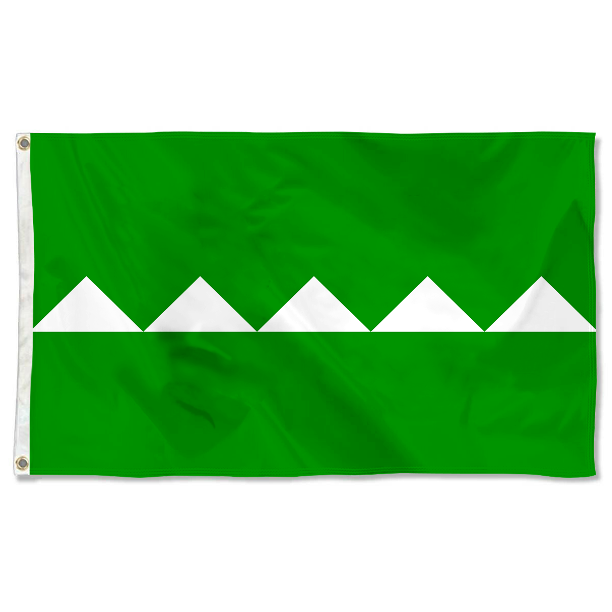 Fyon Salinas, Puerto Rico flag banner