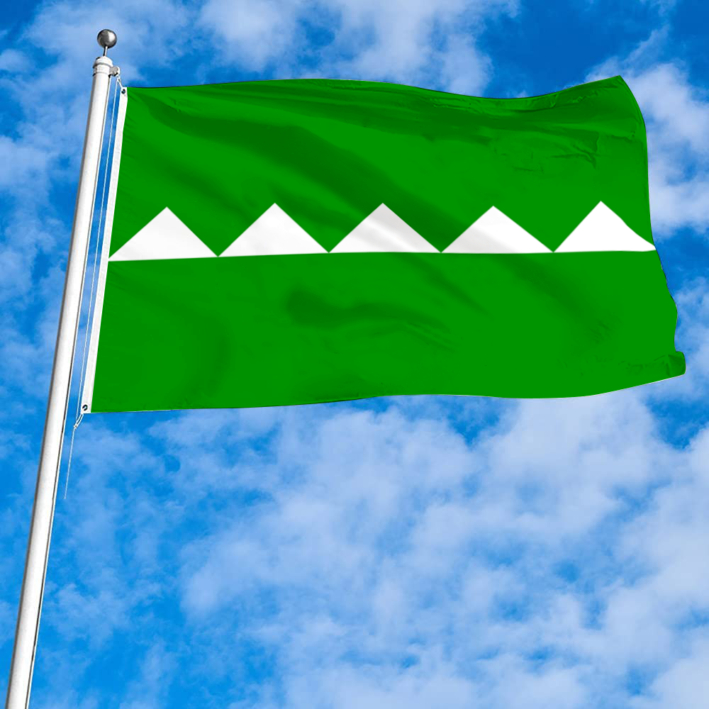 Fyon Salinas, Puerto Rico flag banner