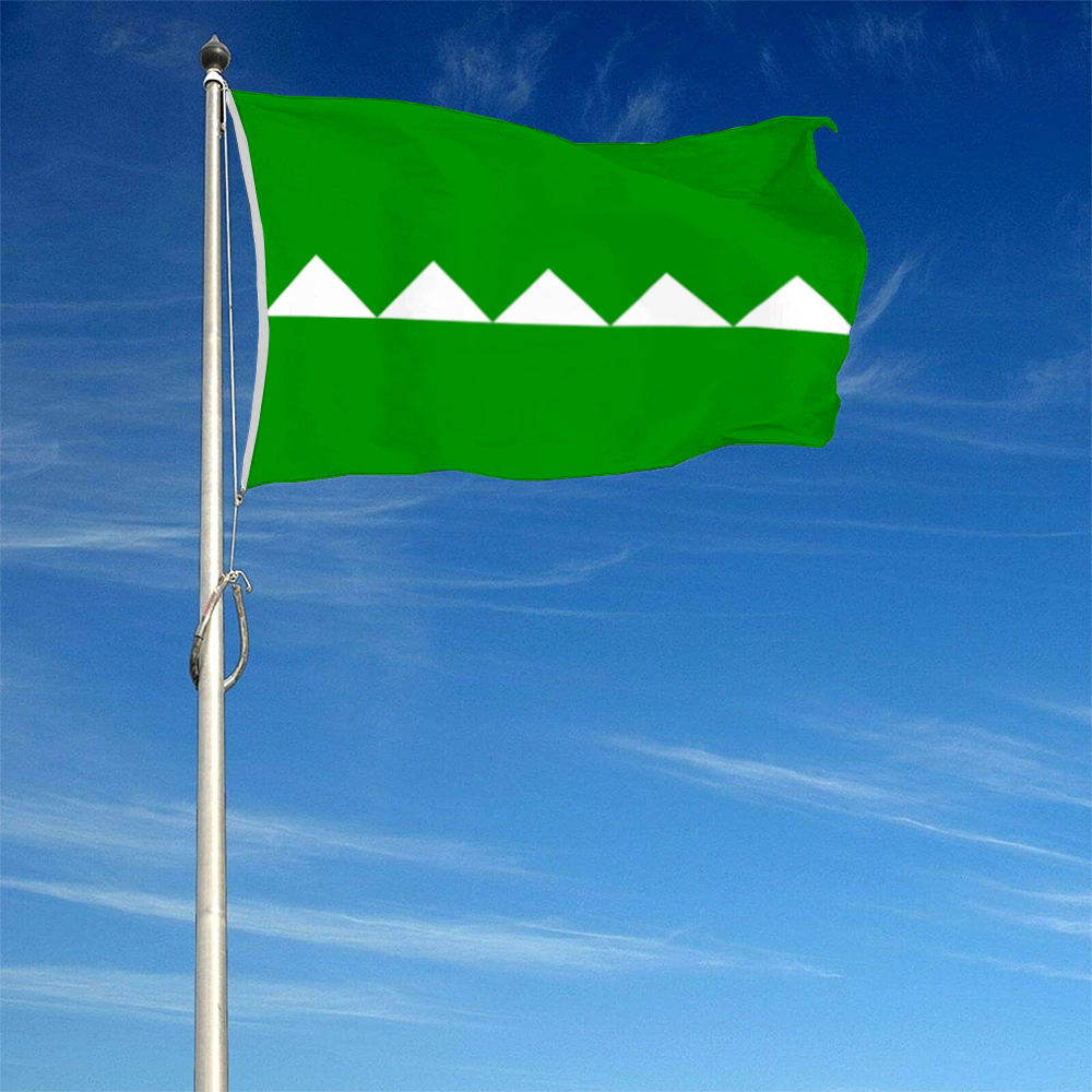 Fyon Salinas, Puerto Rico flag banner