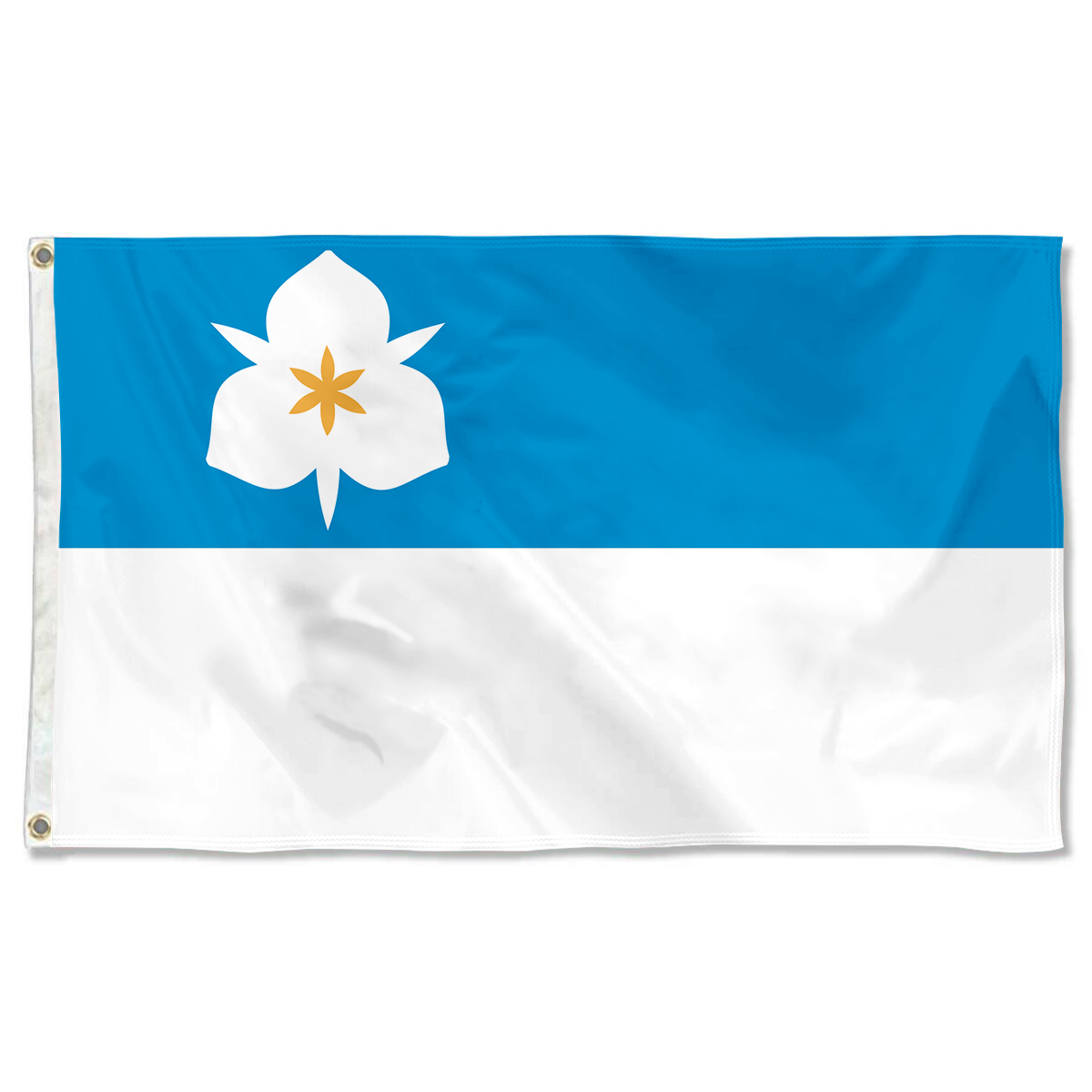 Fyon Salt Lake City, Utah flag(2020) Banner