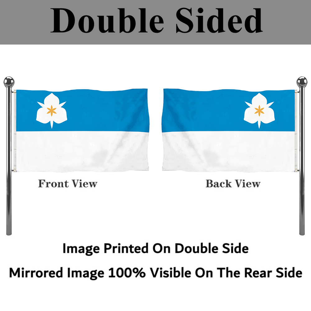 Fyon Salt Lake City, Utah flag(2020) Banner