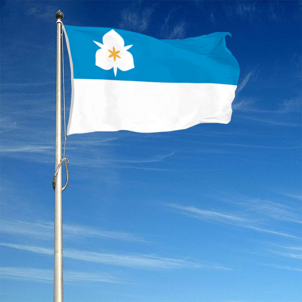 Fyon Salt Lake City, Utah flag(2020) Banner