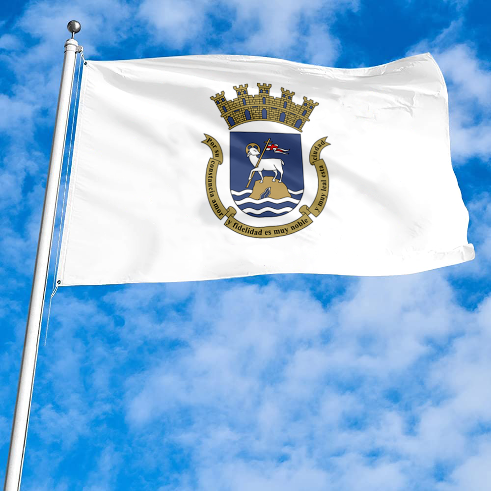 Fyon San Juan, Puerto Rico flag banner