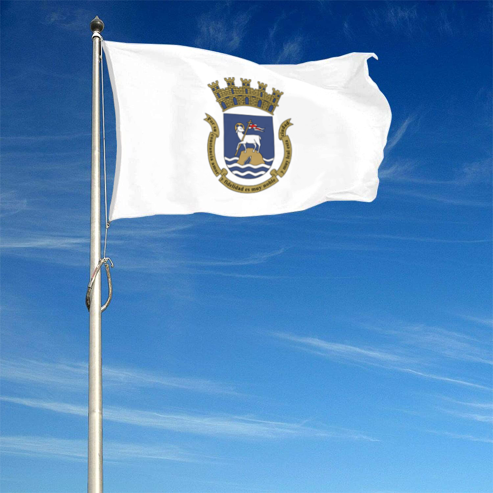 Fyon San Juan, Puerto Rico flag banner