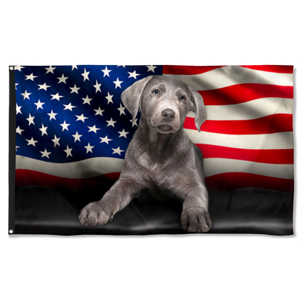 Fyon Silver Labrador American Flag 41426 Indoor and outdoor banner