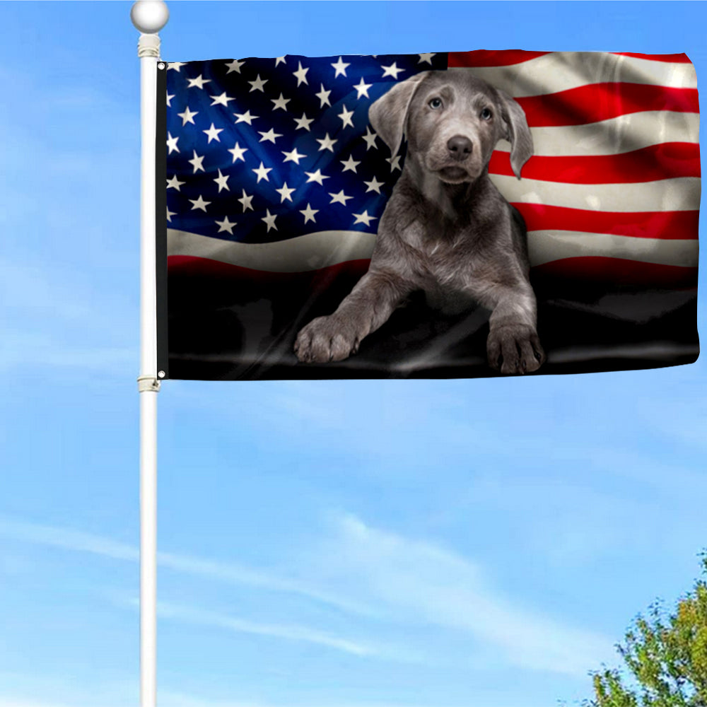 Fyon Silver Labrador American Flag 41426 Indoor and outdoor banner