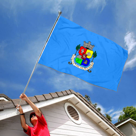 Fyon Sofia Province, Bulgaria Flag Indoor and outdoor banner