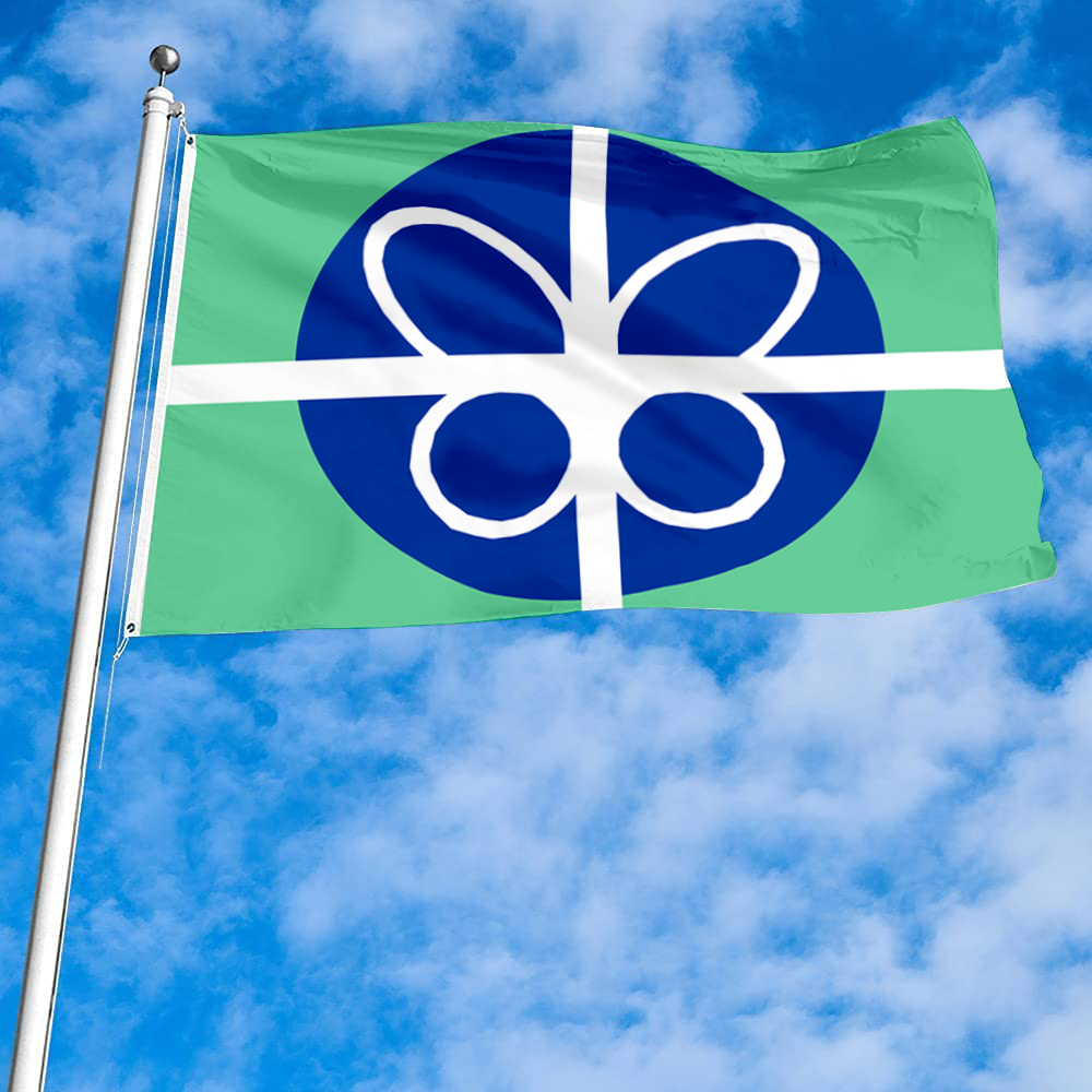 Fyon Springfield, Virginia flag banner