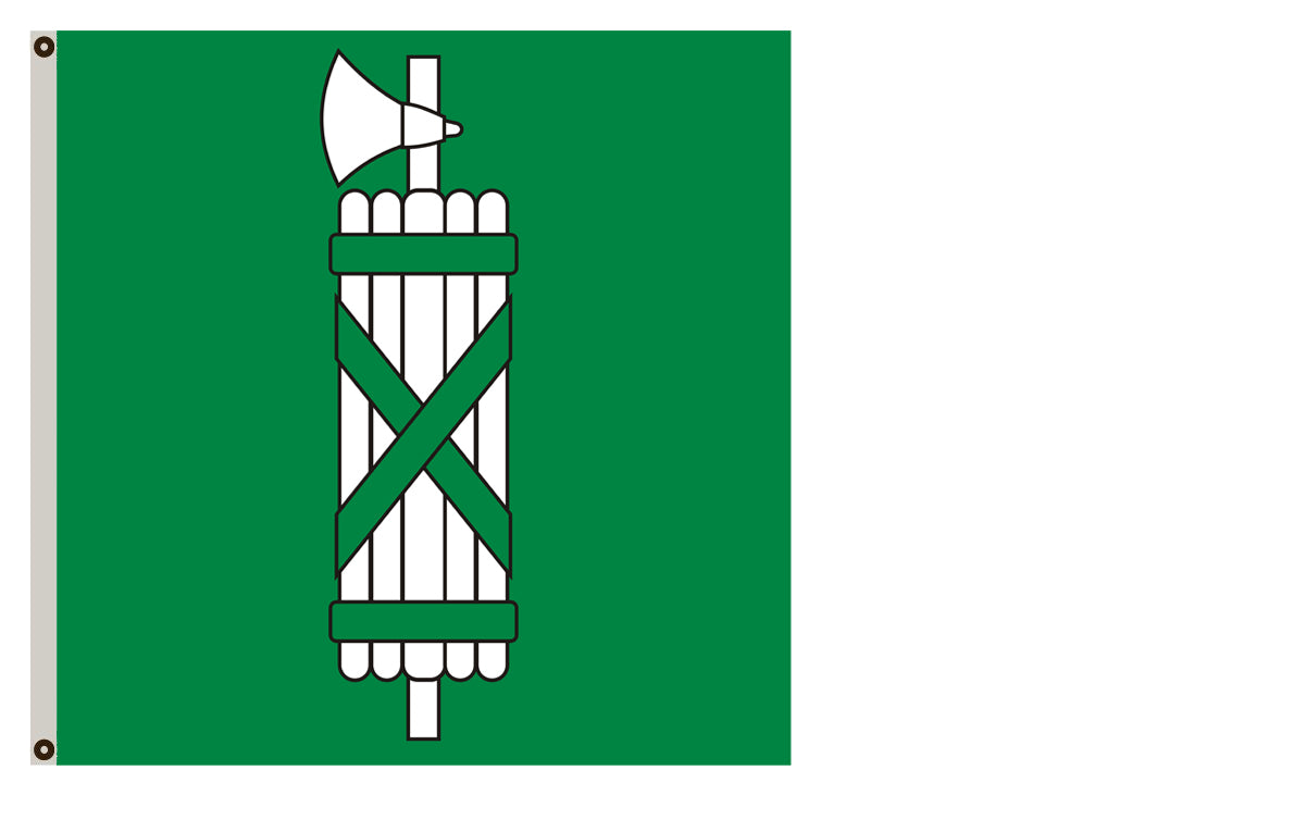 Fyon of St Gallen flag Switzerland banner