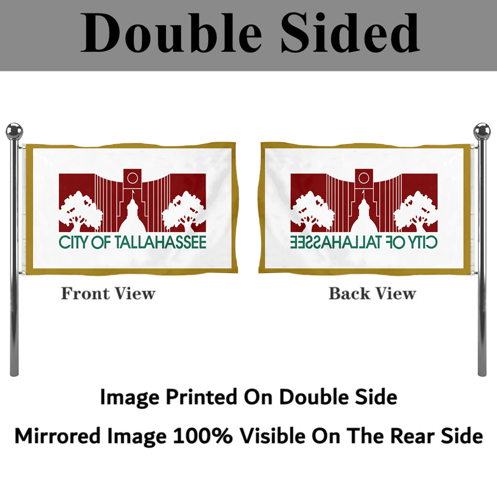 Fyon Tallahassee, Florida flag(City Hall Silhouette Flag,used 1986-2002) flag Banner