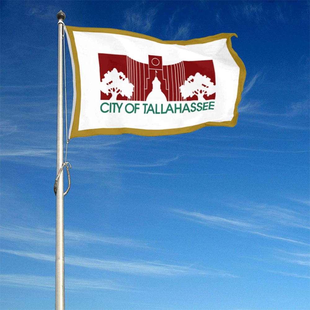 Fyon Tallahassee, Florida flag(City Hall Silhouette Flag,used 1986-2002) flag Banner