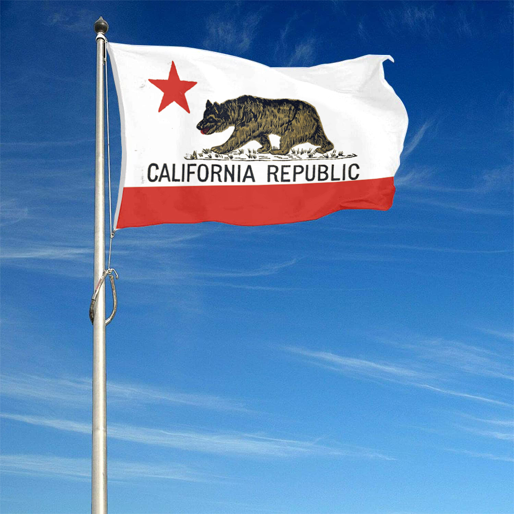 Fyon The United States California (1909–1911) Flag Banner