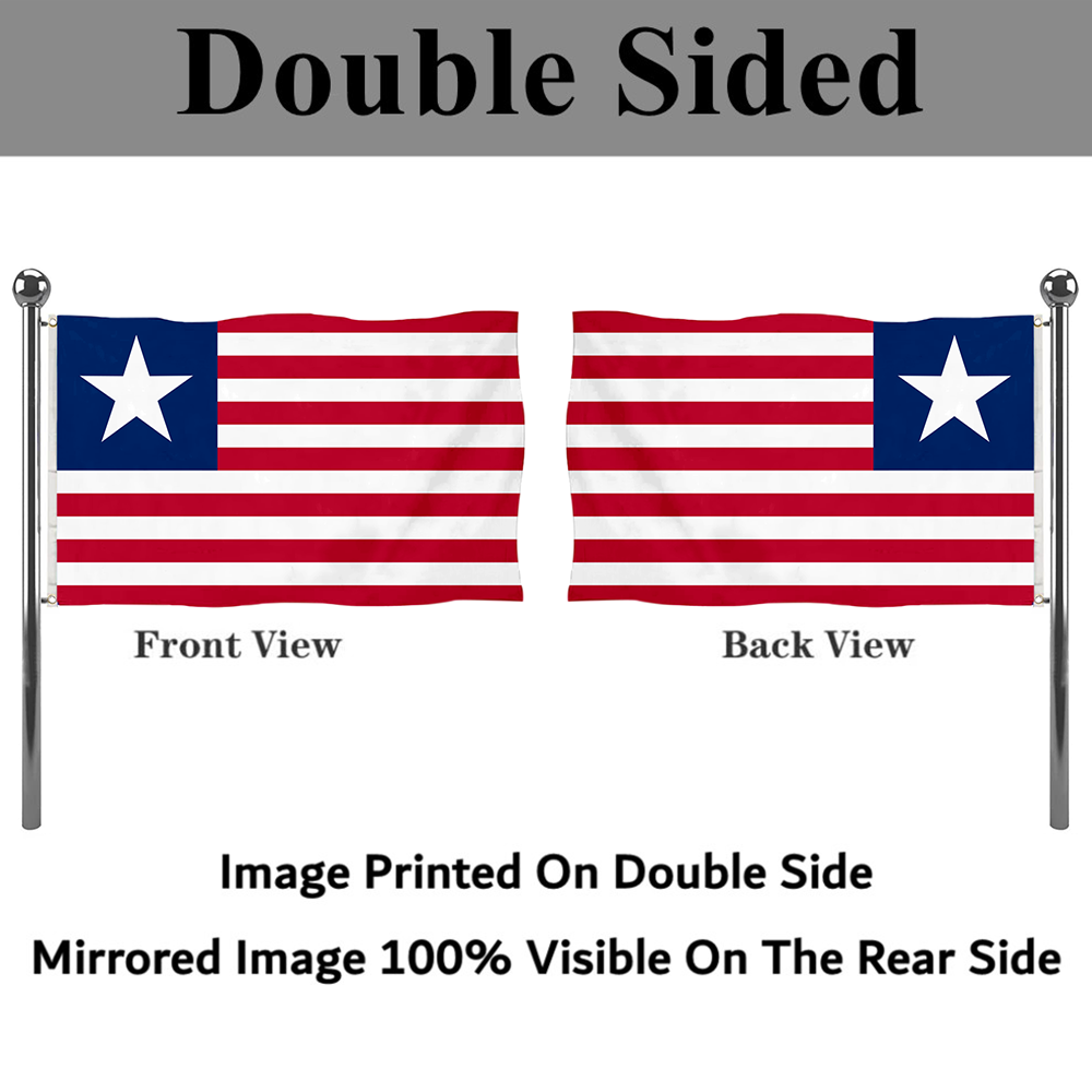 Fyon The United States Florida Provisional 1861 Flag Banner
