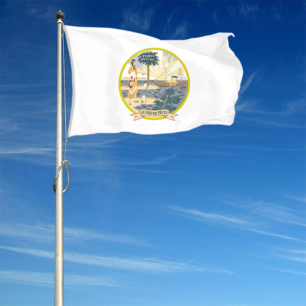 Fyon The United States Florida (1868–1900) Flag Banner