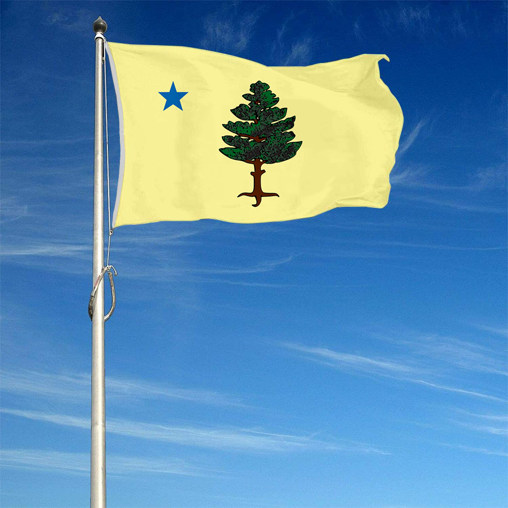 Fyon The United States Maine (1901–1909) Flag  Banner