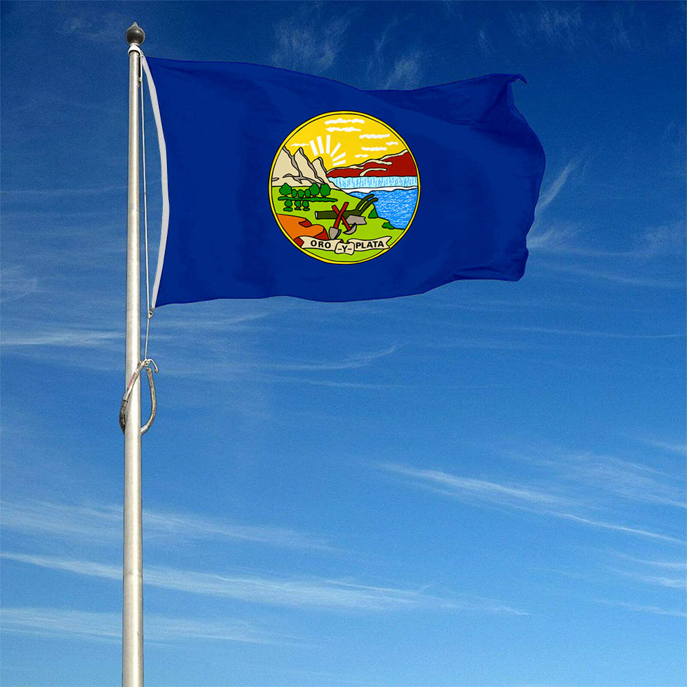 Fyon The United States Montana (1905–1981) Flag Banner