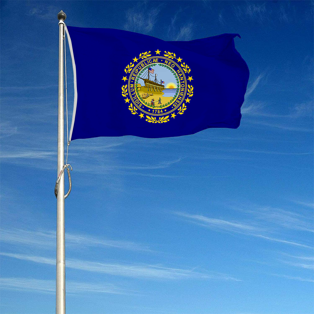 Fyon The United States New Hampshire (1909-1931) Flag Banner