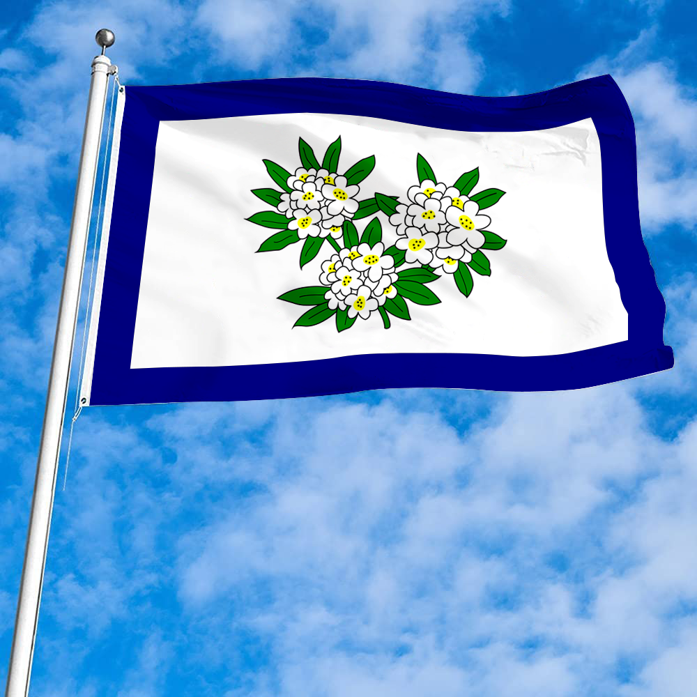Fyon The United States West Virginia(1905–1907) Flag Banner