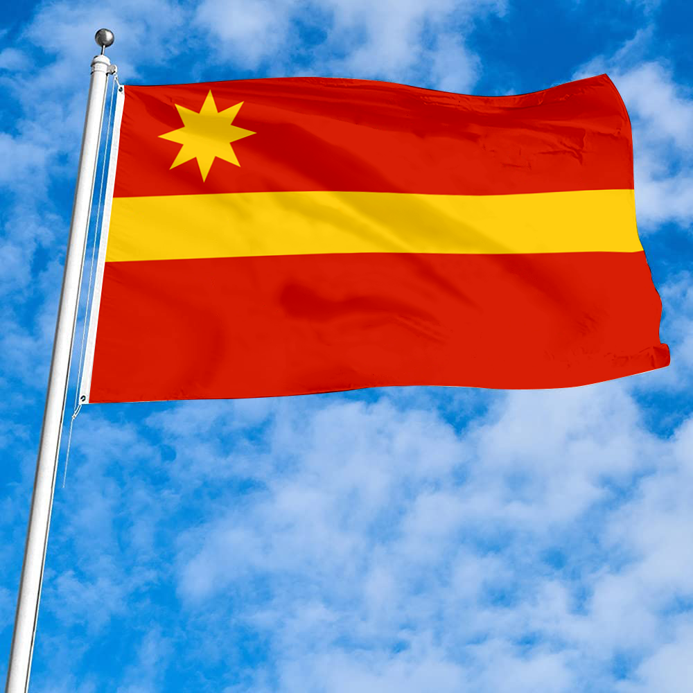 Fyon Toa Alta, Puerto Rico flag banner