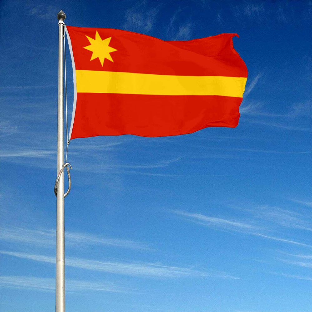 Fyon Toa Alta, Puerto Rico flag banner