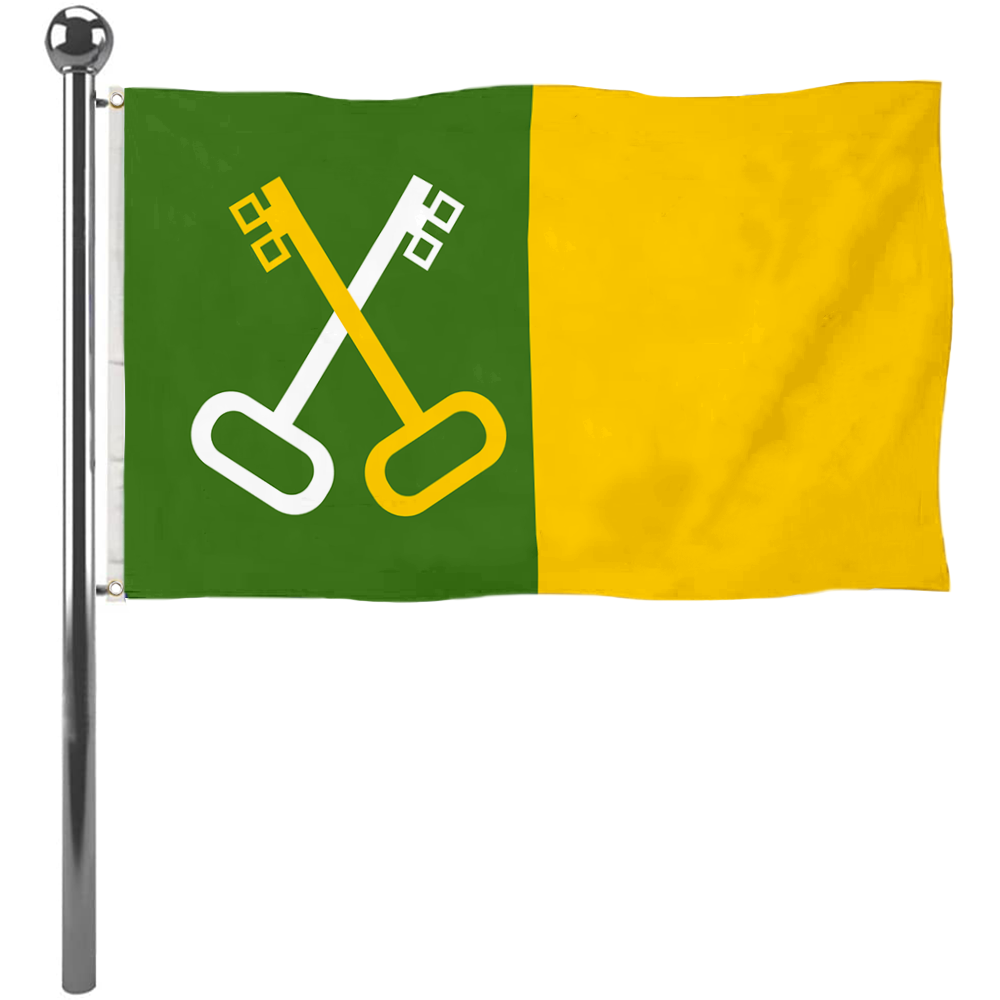Fyon Toa Baja, Puerto Rico flag banner