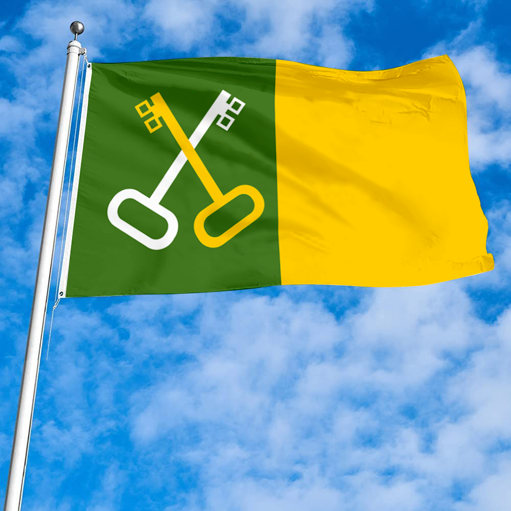 Fyon Toa Baja, Puerto Rico flag banner