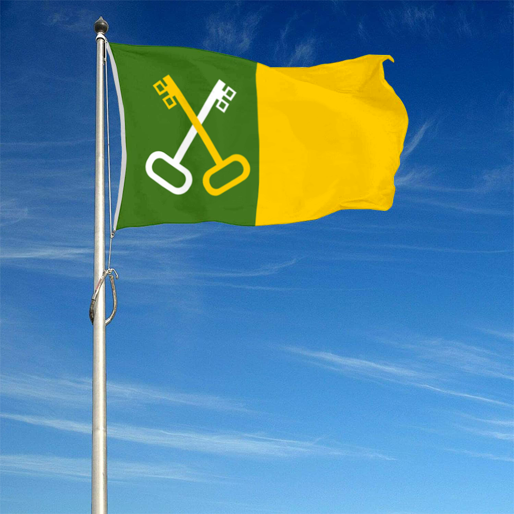 Fyon Toa Baja, Puerto Rico flag banner