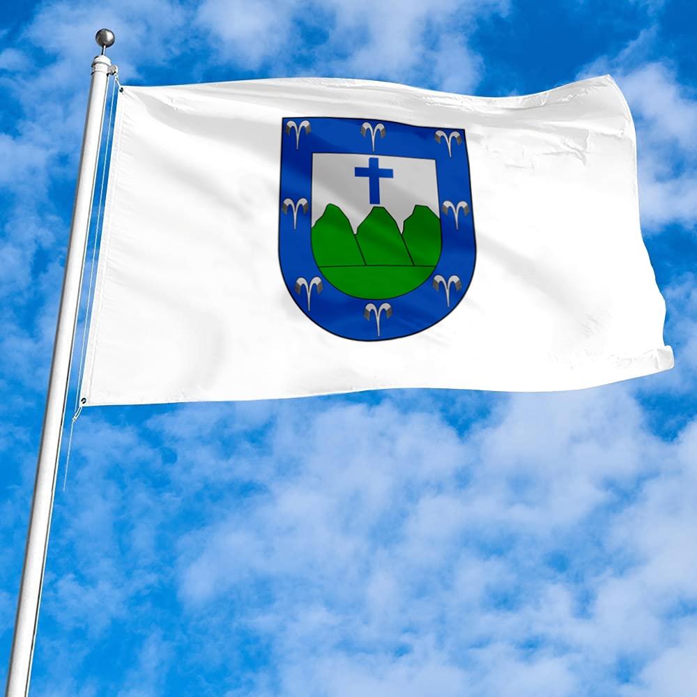 Fyon Trujillo Alto, Puerto Rico flag banner