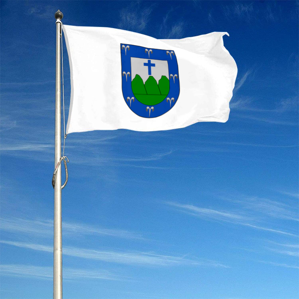Fyon Trujillo Alto, Puerto Rico flag banner