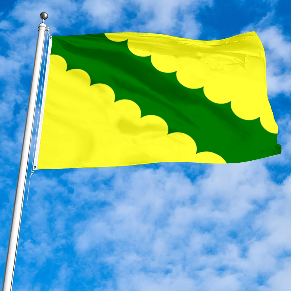 Fyon Vega Baja, Puerto Rico flag banner