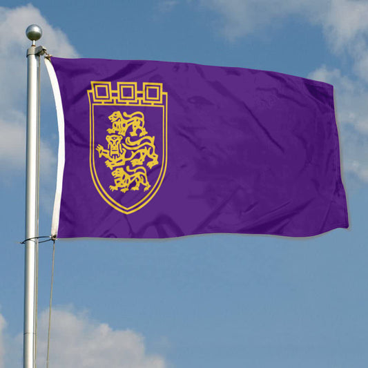 Fyon Veliko Tarnovo City and Province, Bulgaria Flag Indoor and outdoor banner