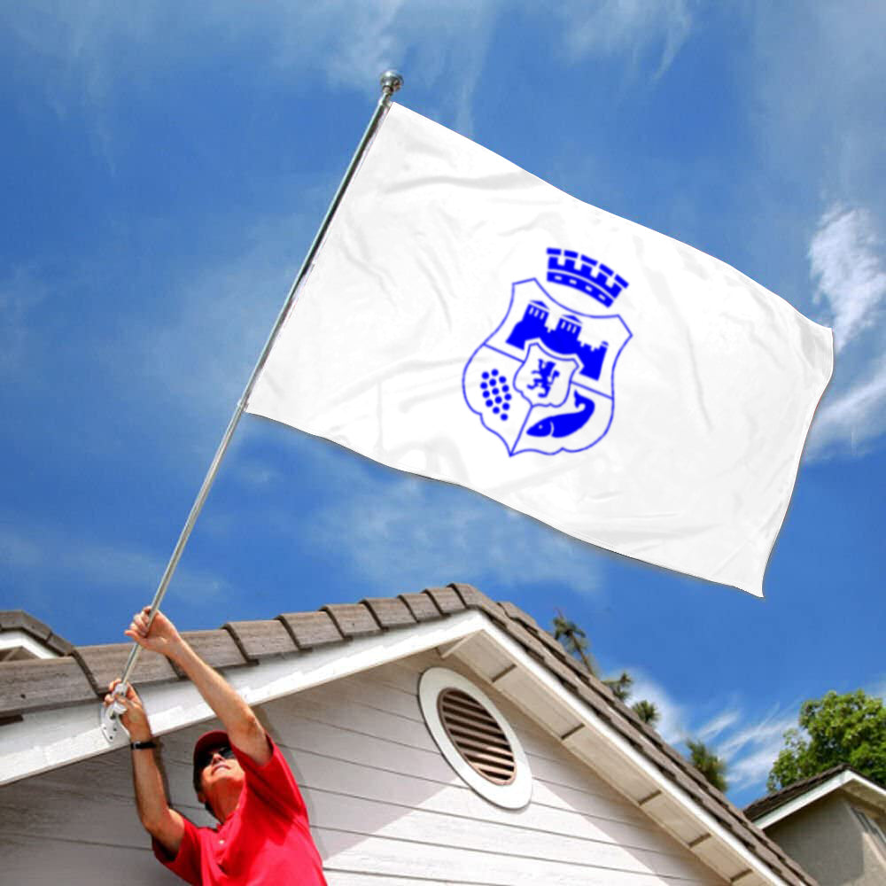 Fyon Vidin City and Province, Bulgaria Flag Indoor and outdoor banner